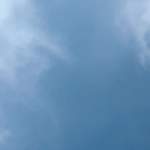 Meet your Posher, Bianca